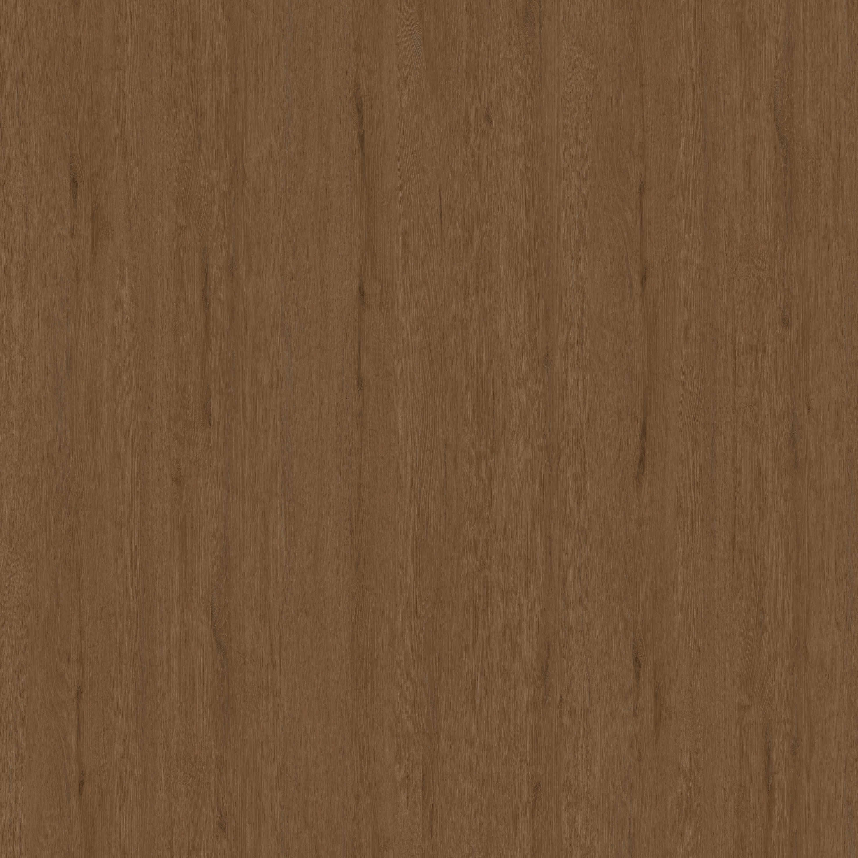 S6D13（WS1051-3）